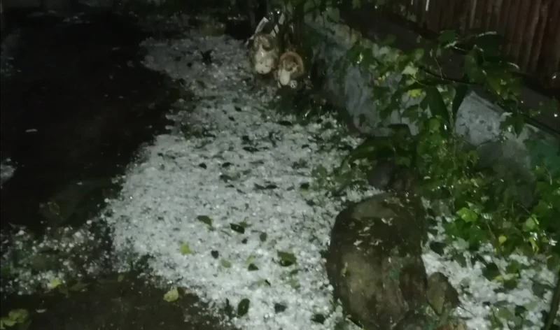 雹が降った後