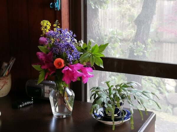 花の写真